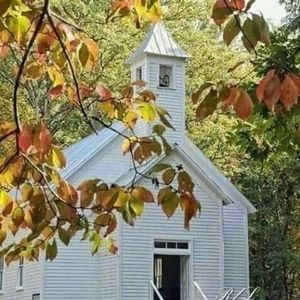 Meet your Posher, Mary ellen